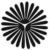 دانشگاه پیام نور